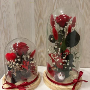 Campana de cristal con flores preservadas