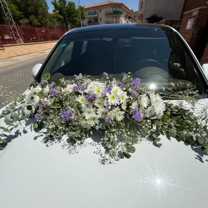 Decoración coche